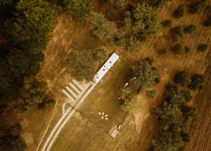 캠프장 Przystanek Glinca Zelewo